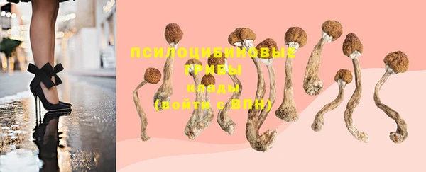 метадон Кукмор