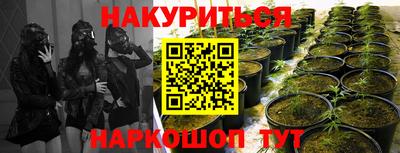 марки nbome Будённовск