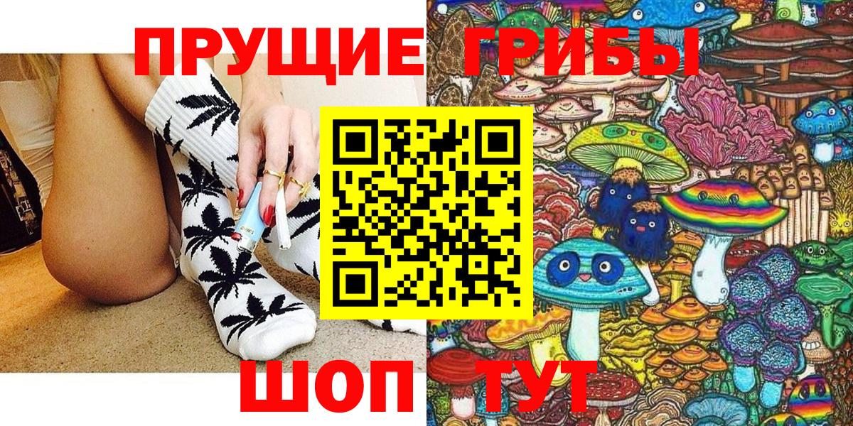 Галлюциногенные грибы мицелий  Галлюциногенные грибы Psilocybine cubensis  Саров 