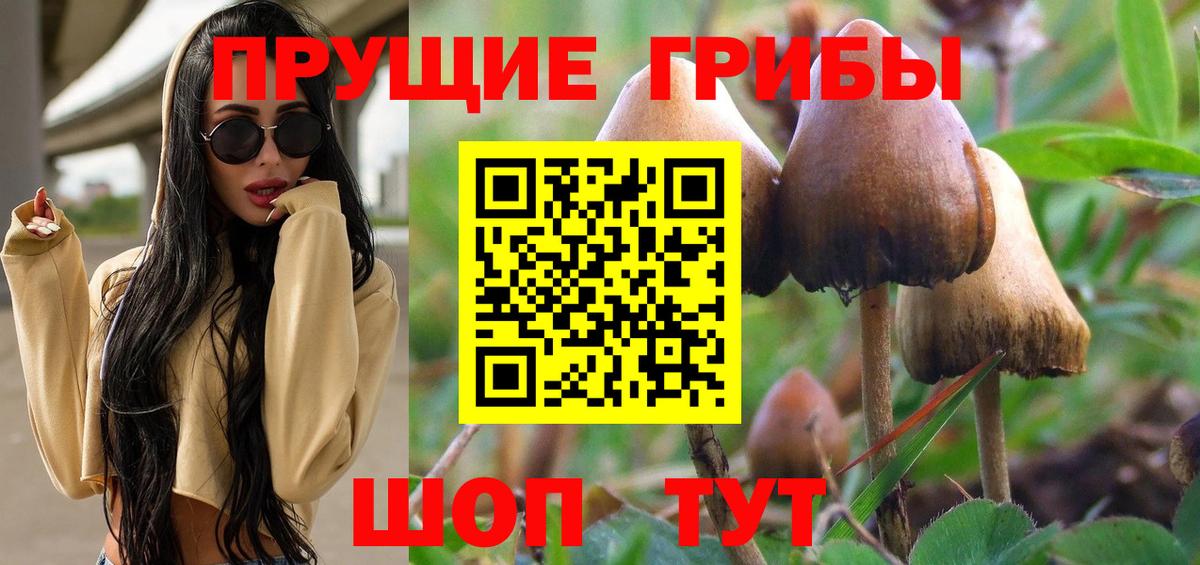 Псилоцибиновые грибы Psilocybe  Вход с VPN  Саров 